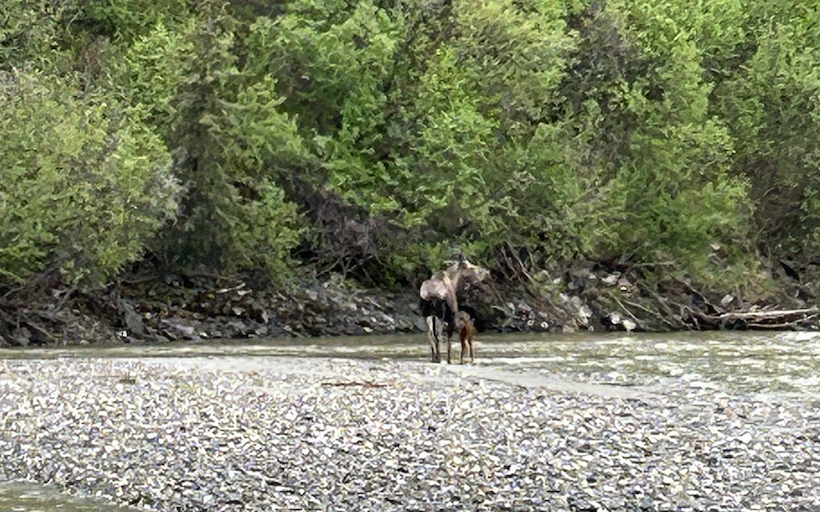 Pasted image 20260618215231.png