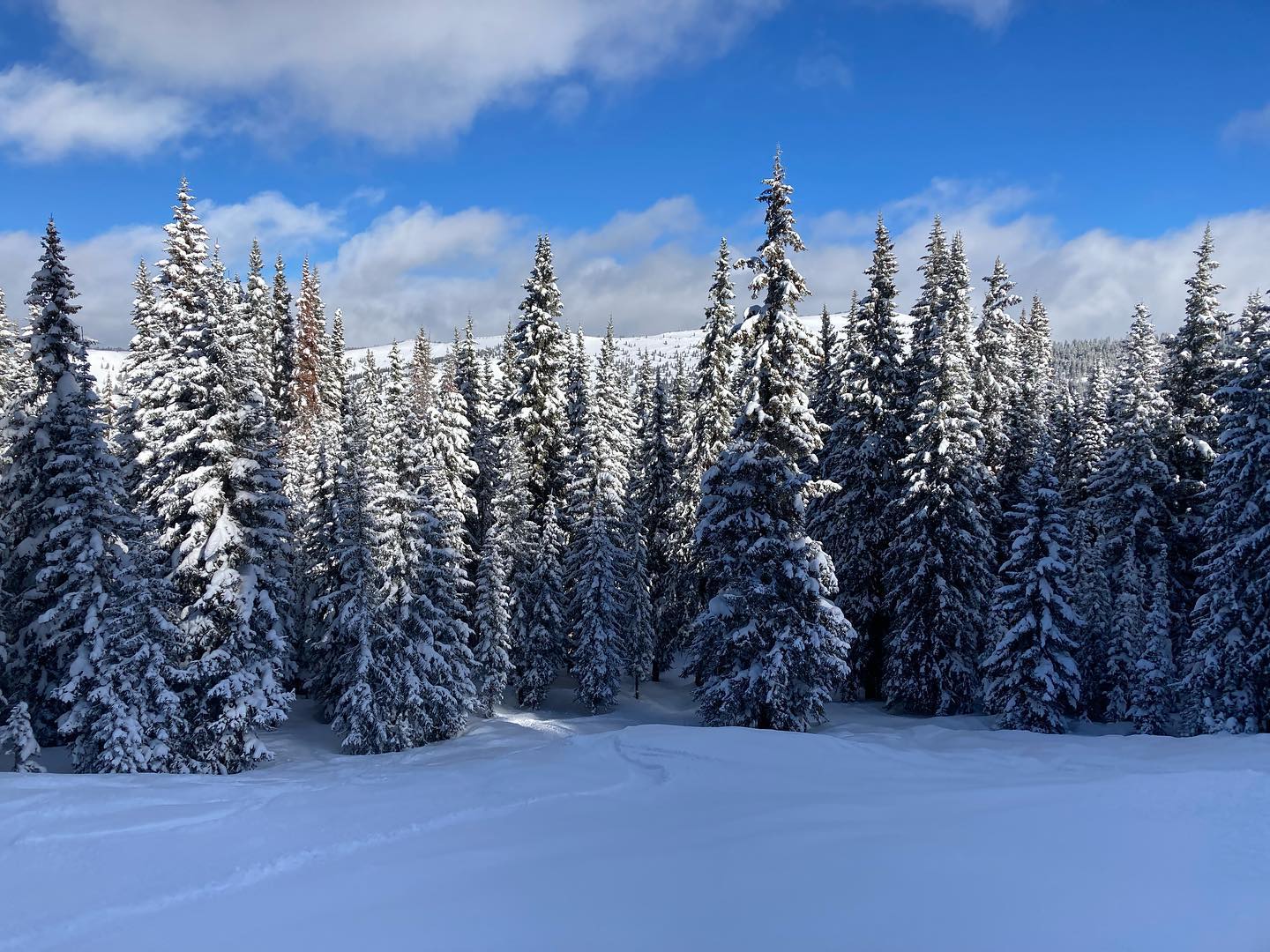 freerange_elliott Instagram Archive/_media/2023-01-08-follow-up-post-from-vail-with-some-na/04.jpg