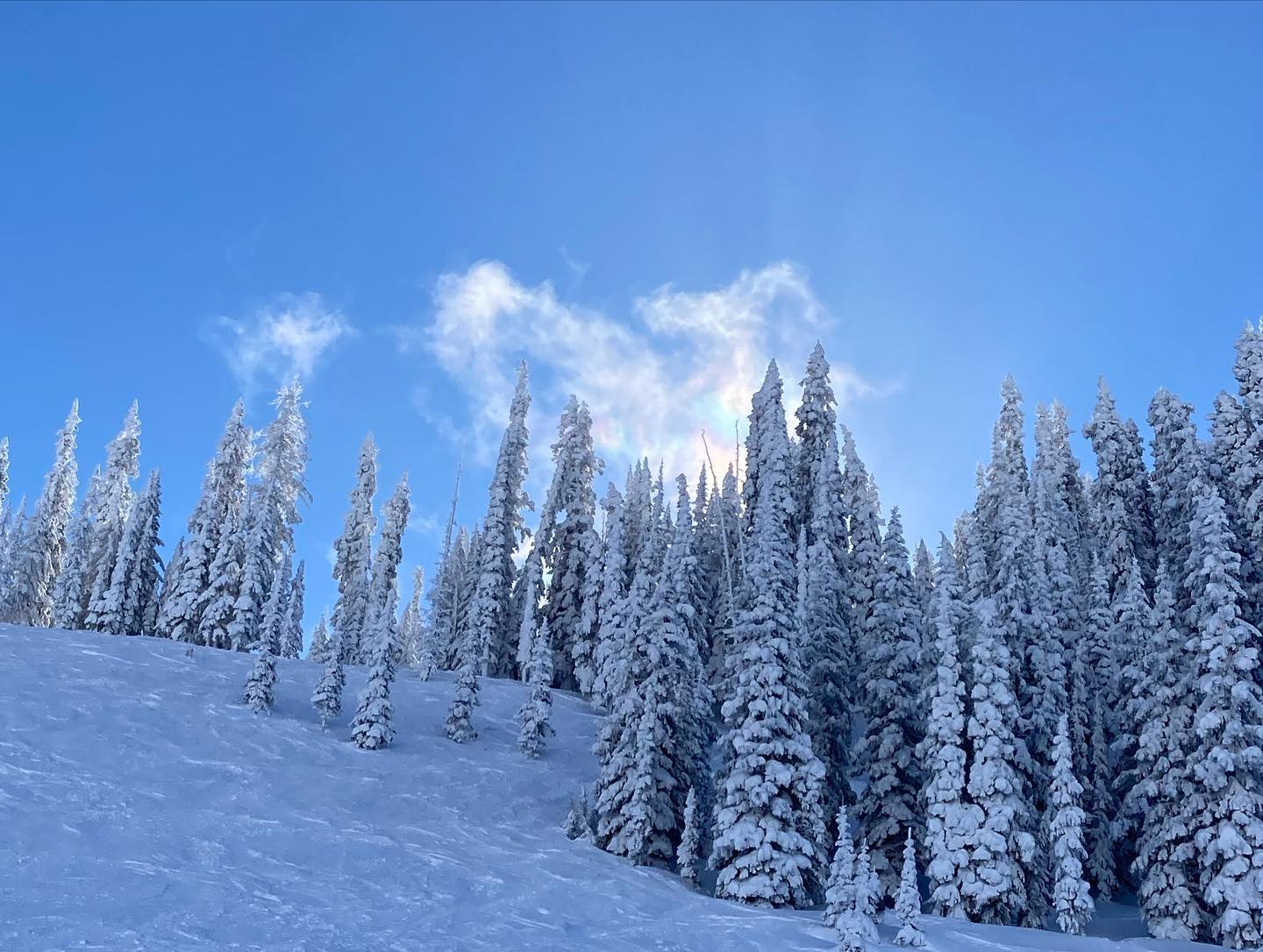 freerange_elliott Instagram Archive/_media/2023-01-08-follow-up-post-from-vail-with-some-na/05.jpg