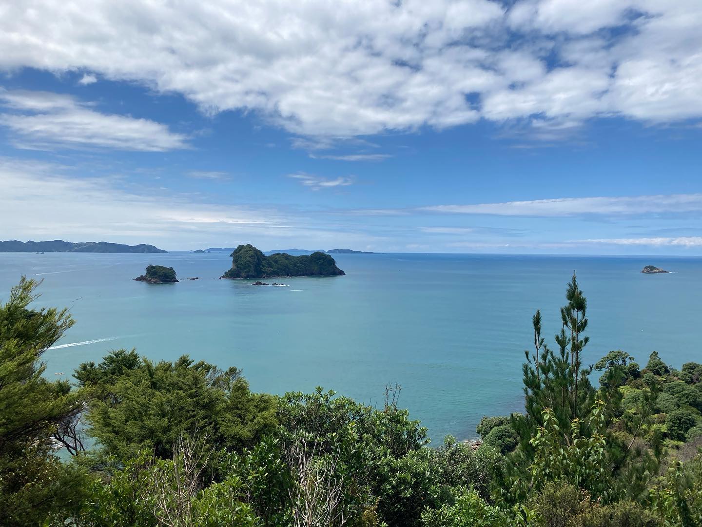 freerange_elliott Instagram Archive/_media/2023-01-15-successfully-made-it-to-new-zealand-a/04.jpg