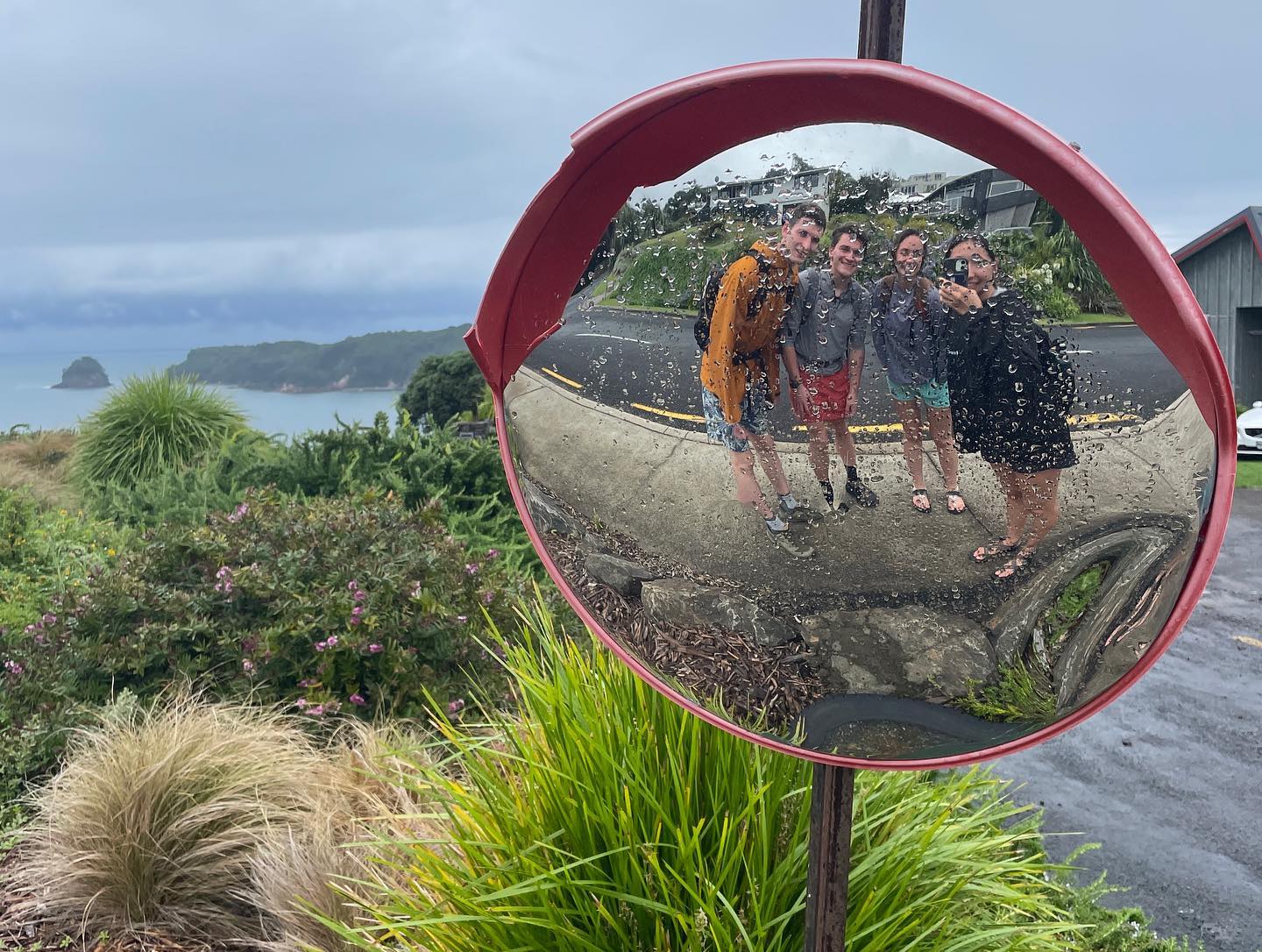 freerange_elliott Instagram Archive/_media/2023-01-15-successfully-made-it-to-new-zealand-a/05.jpg