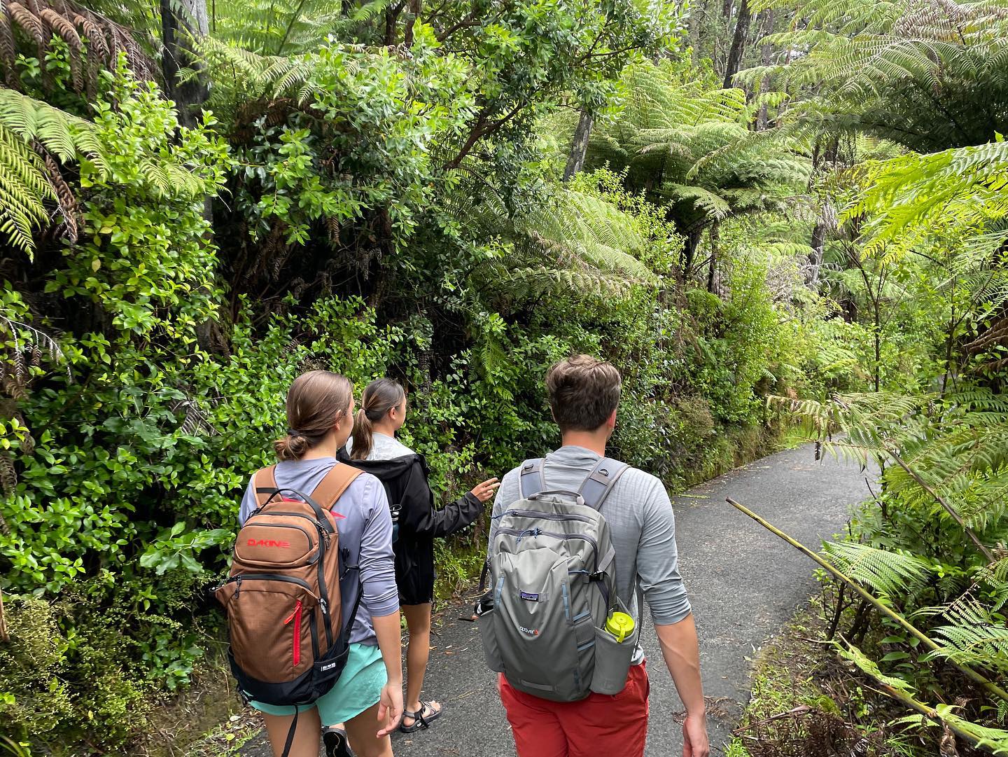 freerange_elliott Instagram Archive/_media/2023-01-15-successfully-made-it-to-new-zealand-a/07.jpg