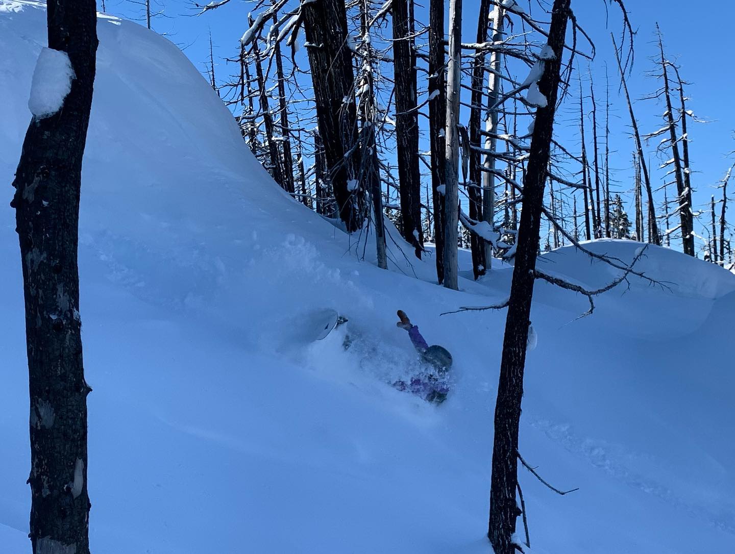 freerange_elliott Instagram Archive/_media/2023-02-22-coming-atcha-with-that-snowboarding-c/03.jpg