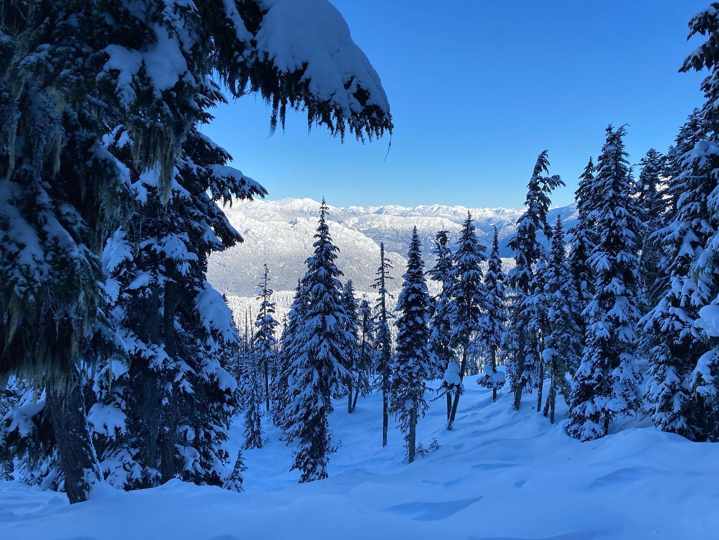 freerange_elliott Instagram Archive/_media/2023-02-22-coming-atcha-with-that-snowboarding-c/05.jpg