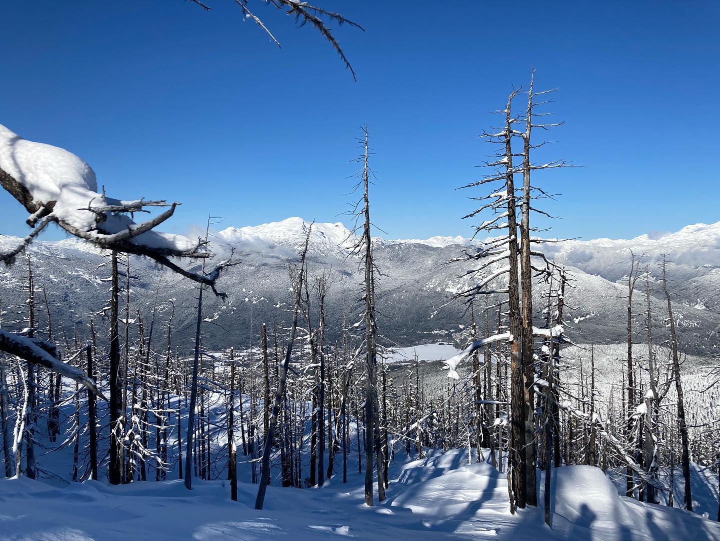 freerange_elliott Instagram Archive/_media/2023-02-22-coming-atcha-with-that-snowboarding-c/06.jpg