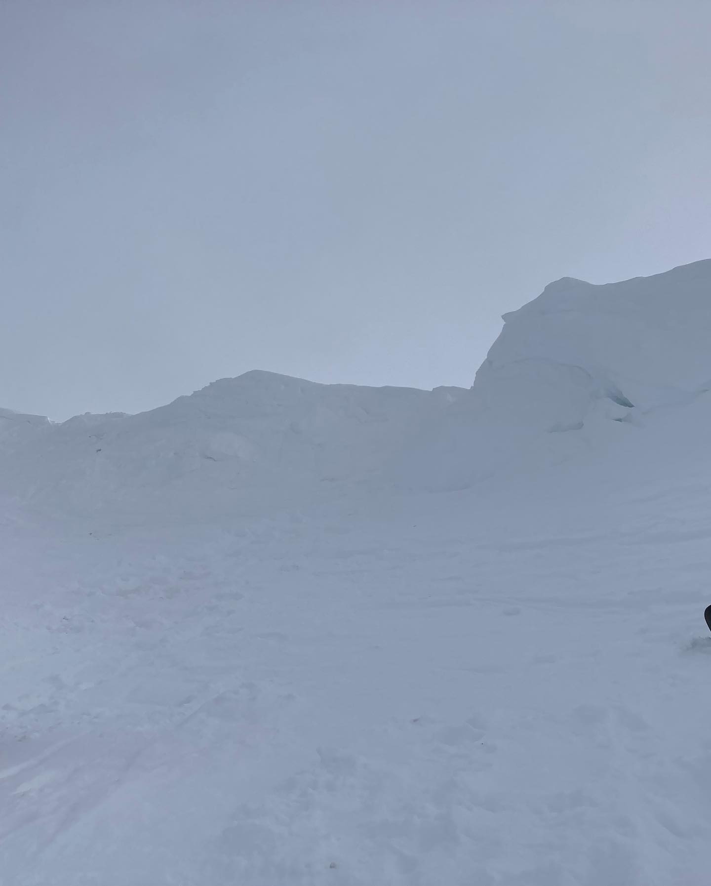 freerange_elliott Instagram Archive/_media/2023-02-28-update-after-a-few-weeks-the-snowboar/06.jpg