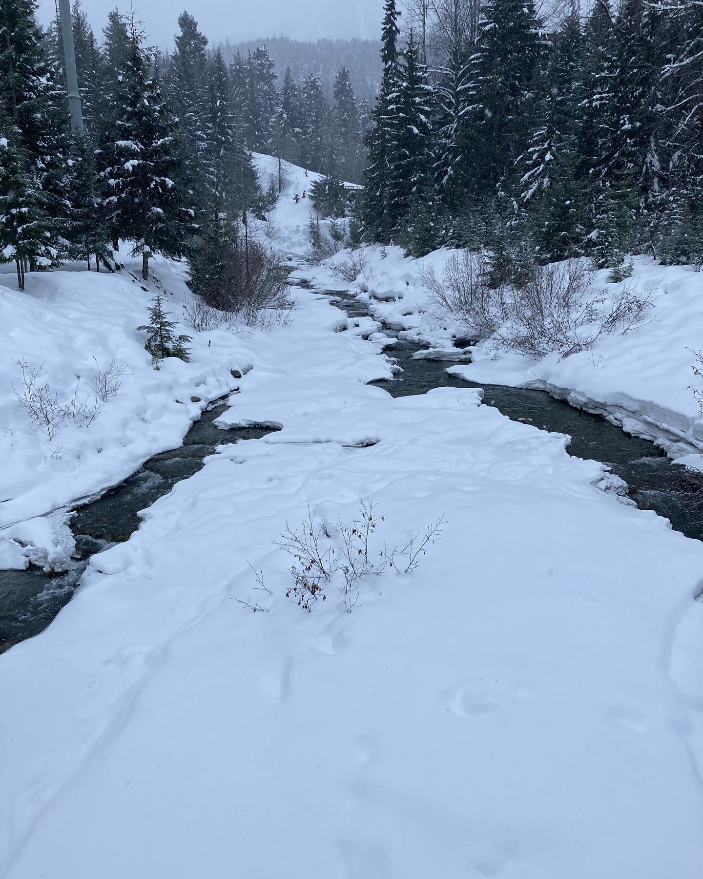 freerange_elliott Instagram Archive/_media/2023-02-28-update-after-a-few-weeks-the-snowboar/08.jpg