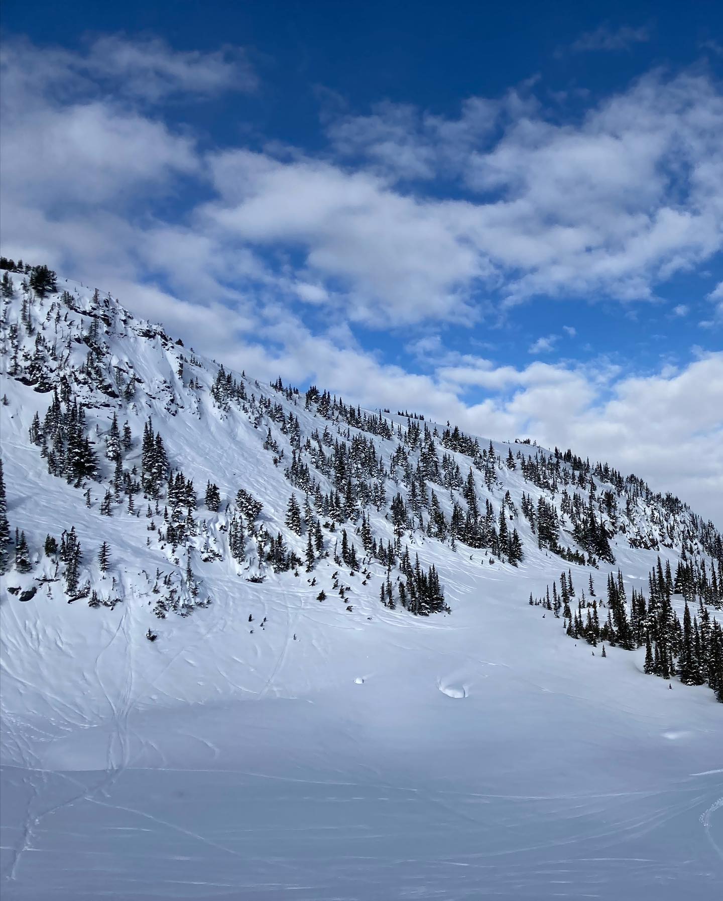 freerange_elliott Instagram Archive/_media/2023-03-13-celebratory-pow-day-post-there-is-not/09.jpg