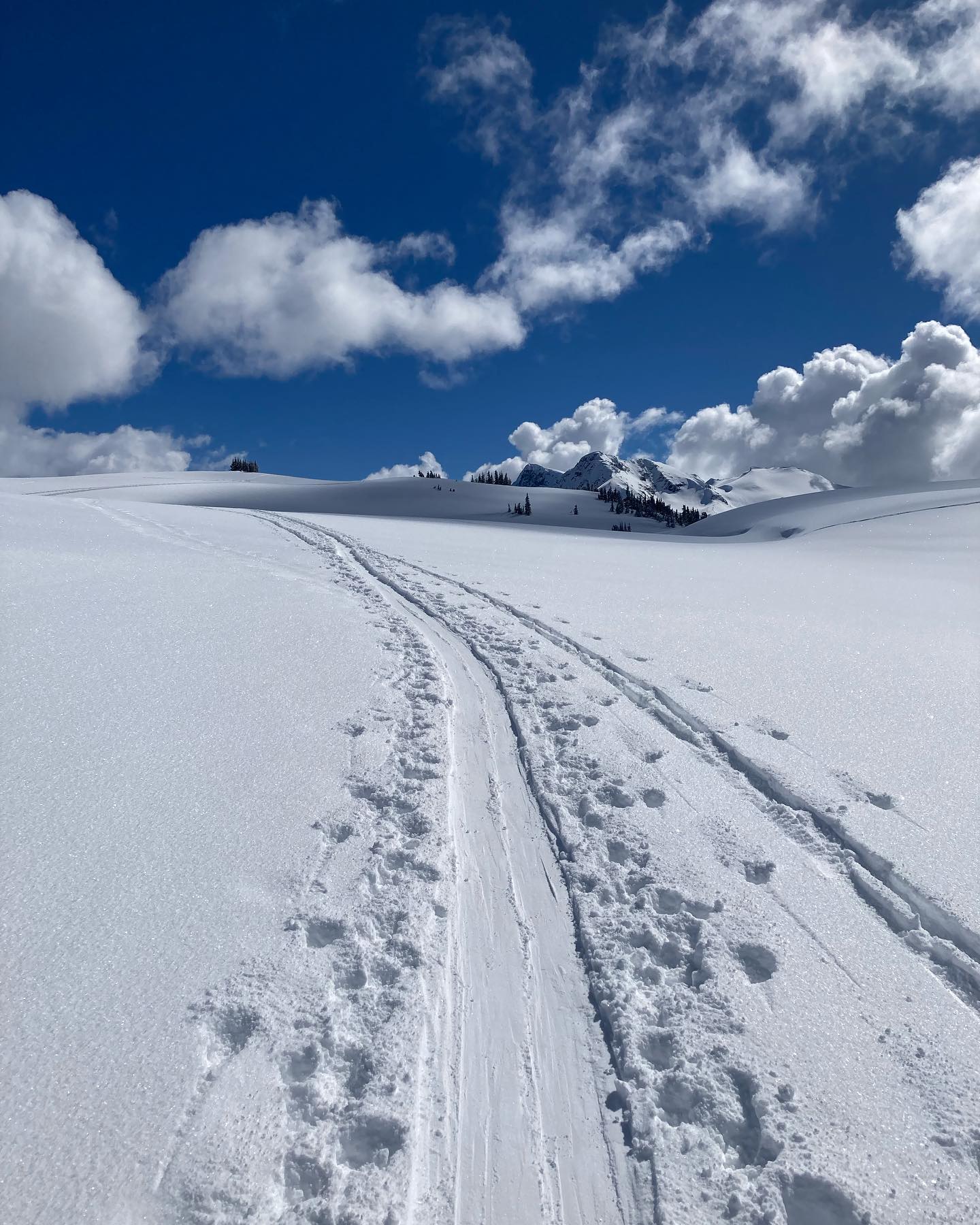 freerange_elliott Instagram Archive/_media/2023-04-06-prob-the-last-post-of-whistler-conten/03.jpg