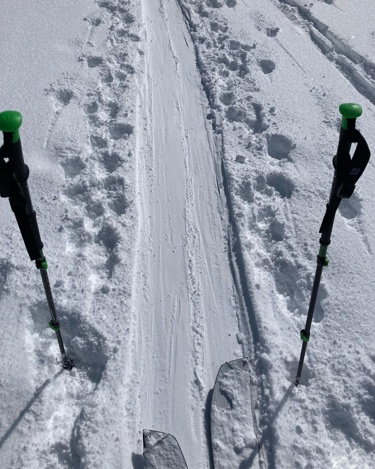 freerange_elliott Instagram Archive/_media/2023-04-06-prob-the-last-post-of-whistler-conten/04.jpg