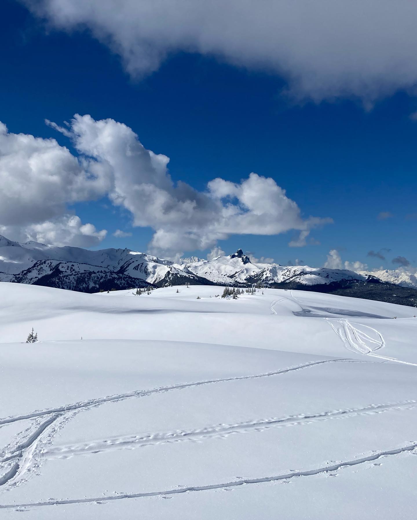 freerange_elliott Instagram Archive/_media/2023-04-06-prob-the-last-post-of-whistler-conten/05.jpg