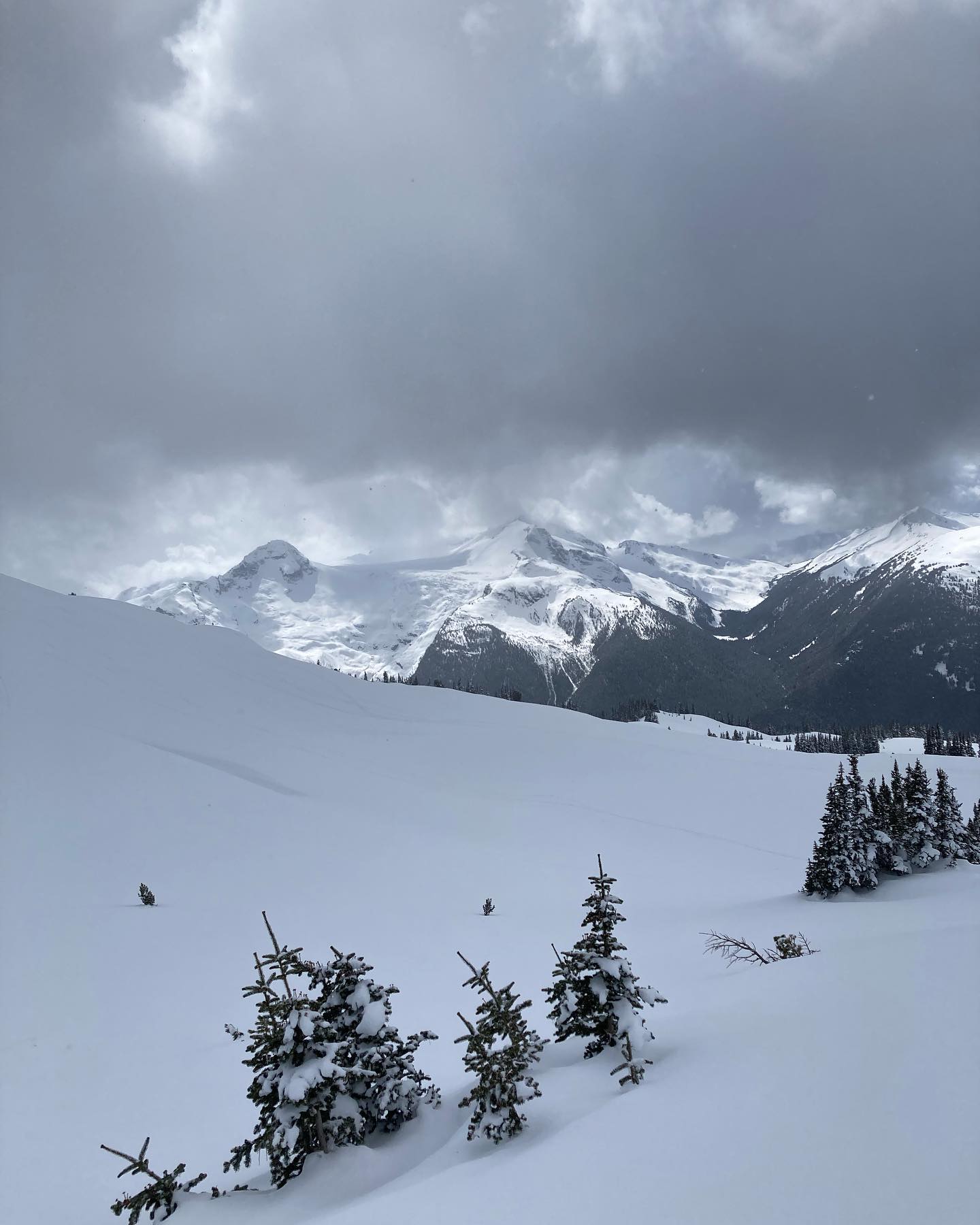 freerange_elliott Instagram Archive/_media/2023-04-06-prob-the-last-post-of-whistler-conten/07.jpg