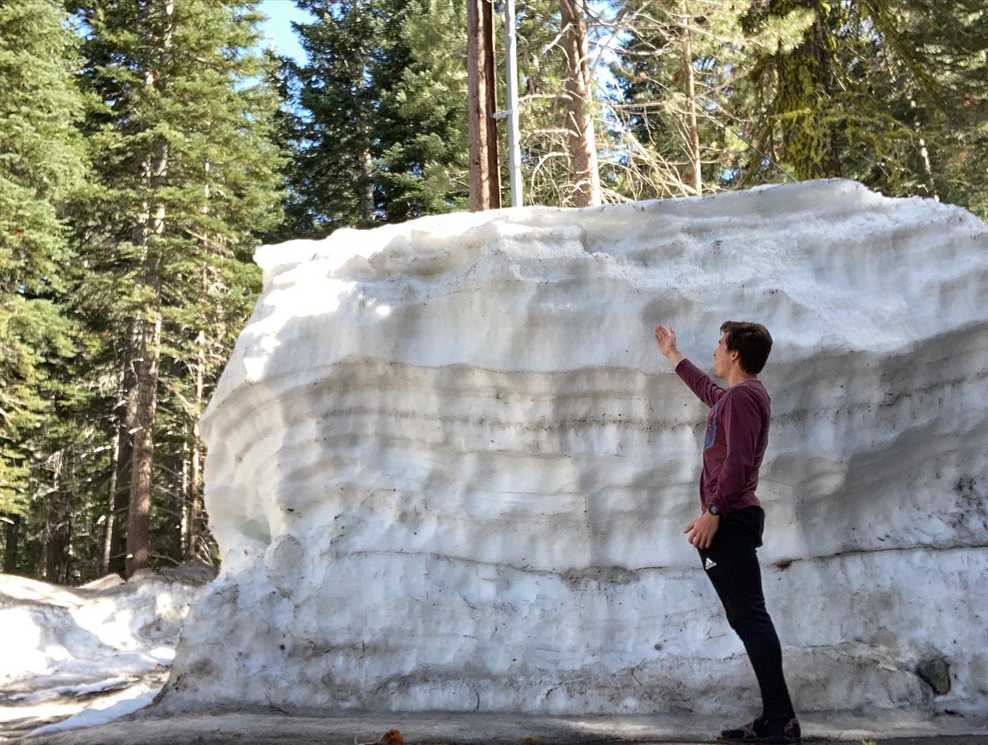 freerange_elliott Instagram Archive/_media/2023-04-27-tahoe-update-this-place-is-pretty-coo/02.jpg
