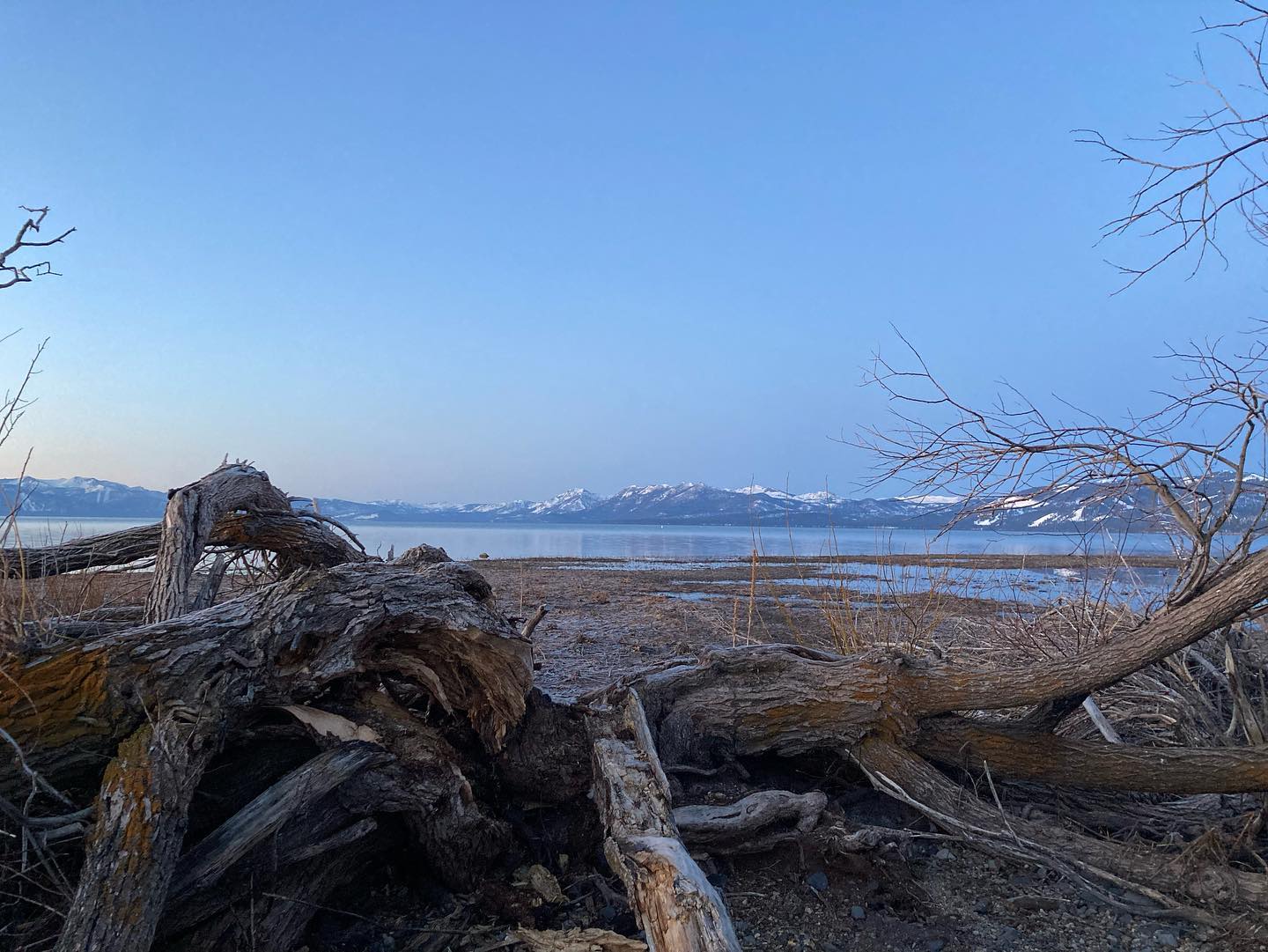 freerange_elliott Instagram Archive/_media/2023-04-27-tahoe-update-this-place-is-pretty-coo/10.jpg